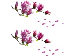Conjunto 2 Adesivos Parede Flores Magnólia Pvc Decoração Fresca Estar Quarto Autoadesivos Removíveis Sala GOKOCO