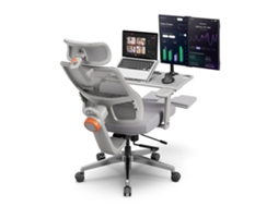 Cadeira Ergonómica Newtral Magich-gpro - Cadeira Com Mesa E Apoio Para Pés - Suporte Lombar Adaptável - Apoio De Braços Ajustável - Cinza