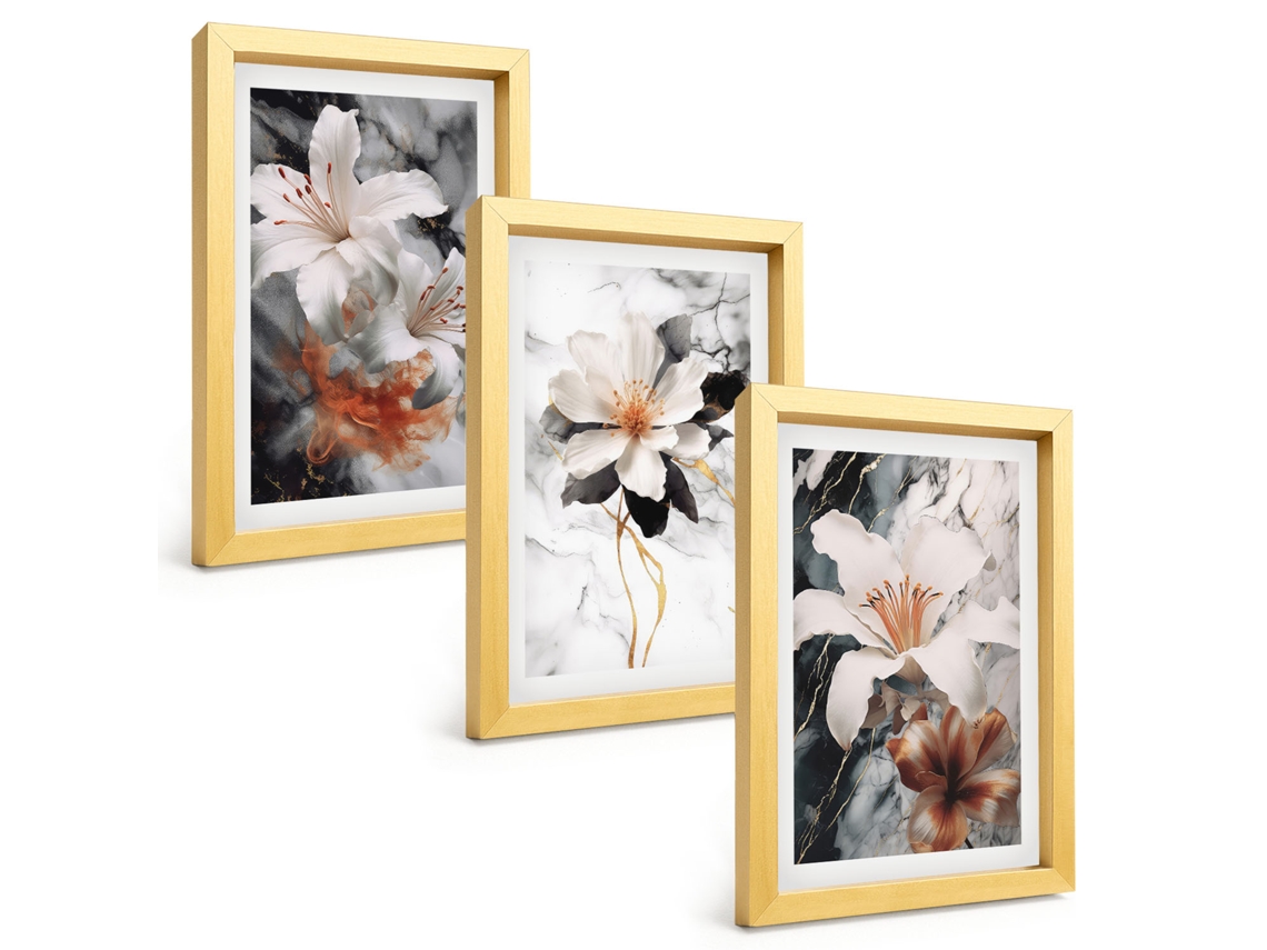Pinturas Murais Modernasflores, Mármore, Branco, Preto Moldura Dourada Fotos Para O Corredor Espelharte (3 Peças 20x30 Cm)