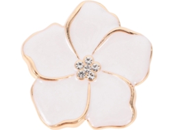 Puxador De Armário Em Formato Flor Gatuida Para Cozinha, Cômoda, Gaveta, Porta E Guarda Roupa