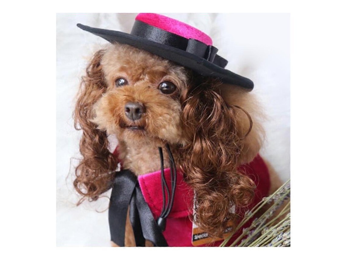 Fato De Cão Com Capa E Chapéu De Peruca