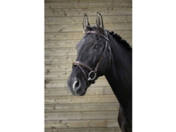 Cabeçada Fin Cinzento Ponynorton Equestrian
