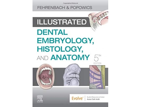 Livro Illustrated Dental Embryology,Histology And Anatomy de Margaret J. Feherenbach (Inglês)