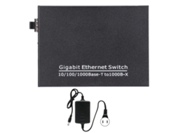 Switch Fibra Óptica Gigabit LAXISCREED