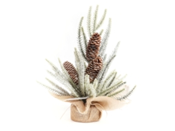 Mini Árvore de Natal em Vaso com Planta Pinha 33Cm AURUM