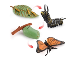 Modelos De Ciclo De Vida Animal Realista Brinquedo Educativo Para Crianças Ferramenta De Aprendizagem
