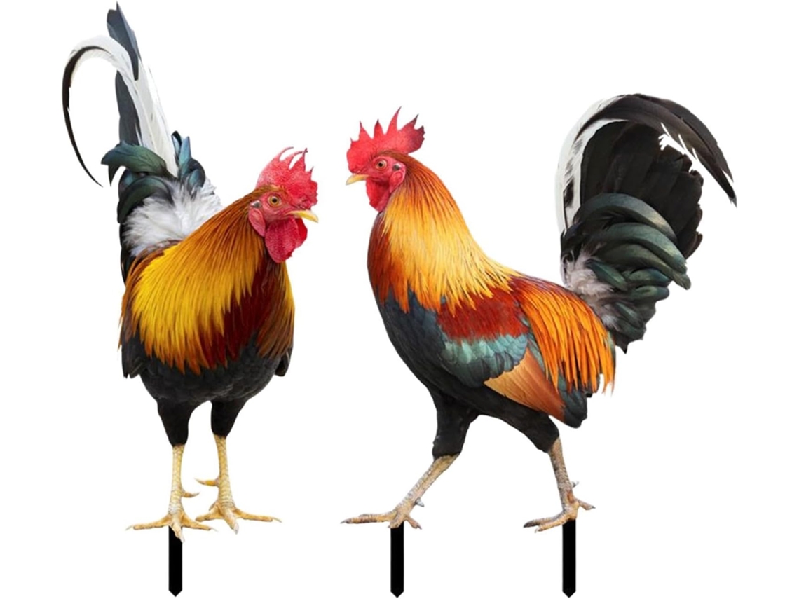 Galo de Metal Kit de 2 Peças para Decoração de Primavera Ao Ar Livre, com Fecho, em Cores Vibrantes Ornamento para CHABERLU