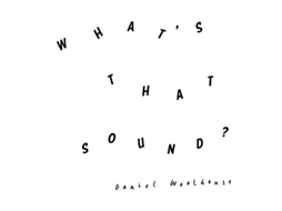 Vinil Daniel Woolhouse - What's That Sound?
