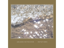 Vinil Golden Retriever  - Rotations