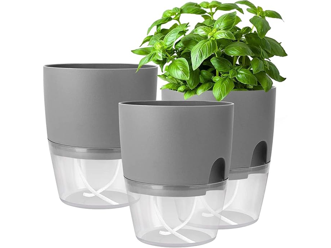 Jogo de Vasos para Ervas 3 Peças ZYBLSSBB