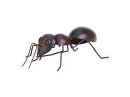 Formigas Ornamentais de Ferro, Decoração de Animais, Insetos em Miniatura para Jardim M BRILVIBERA