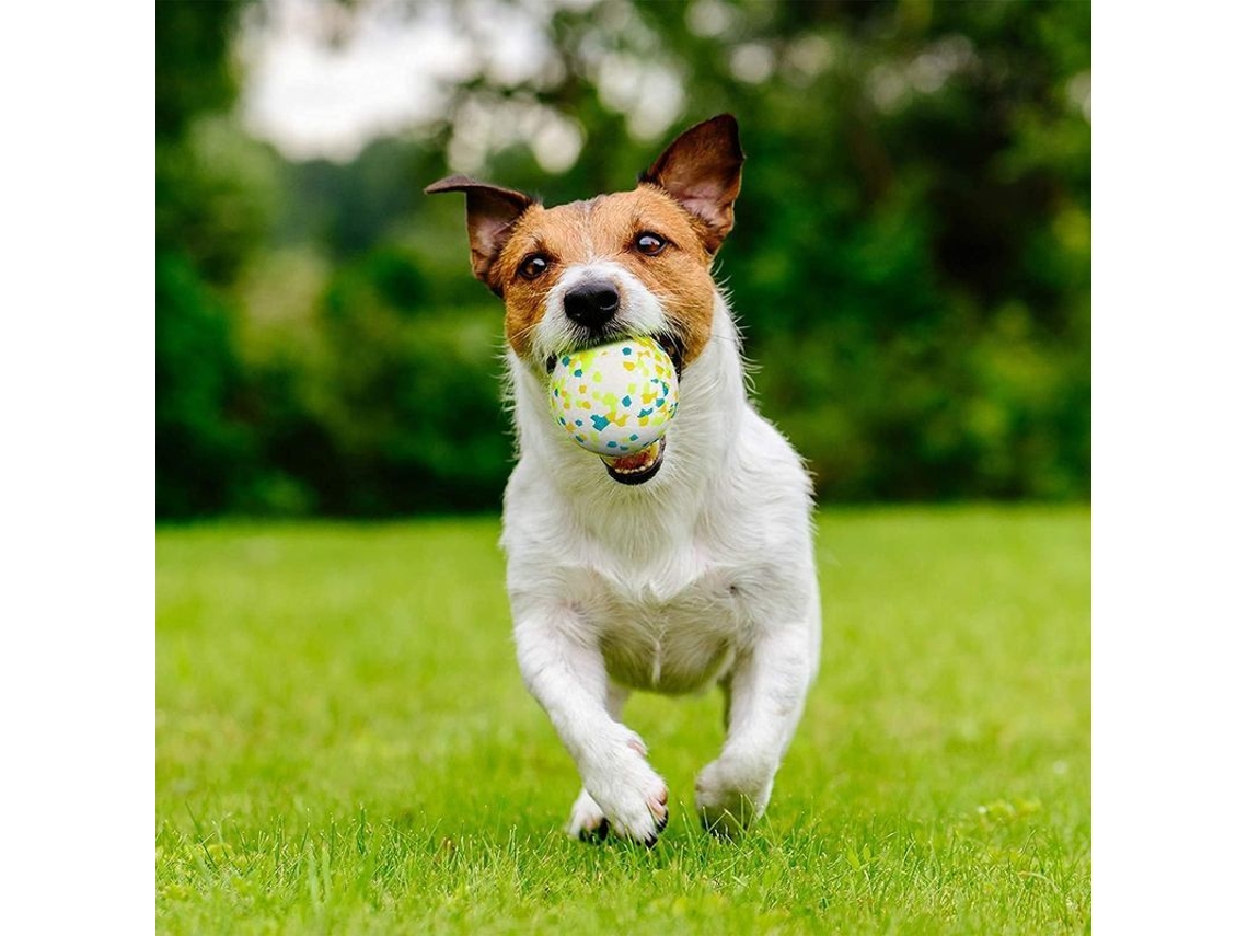 2026-pelota De Goma Para Perros Linjou Juguete De Masticar Duro Limpia Dientes Jugar Entrenar Verde