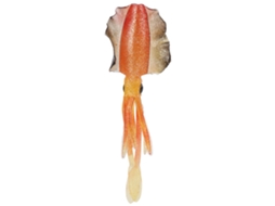 Squid Soft Lure Bionic Fish Lure Shiny Orange Glowing Sea Fishing Jig Hook Lure Octopus Artificial Bait