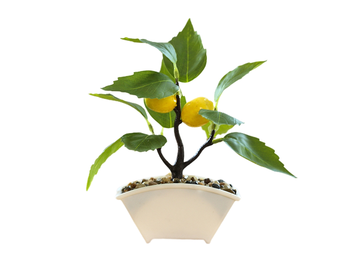 Laxiscreed Árvore De Limão Em Miniatura De Bonsai Com Ramos De Espuma E Vaso De Plástico