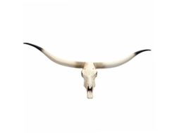 Troféu de parede com crânio de vaca, cabeça de touro Longhorn em poliresina, 103x43x11cm, 04_0002819