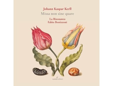 Missa Non Sine Quaré Cd