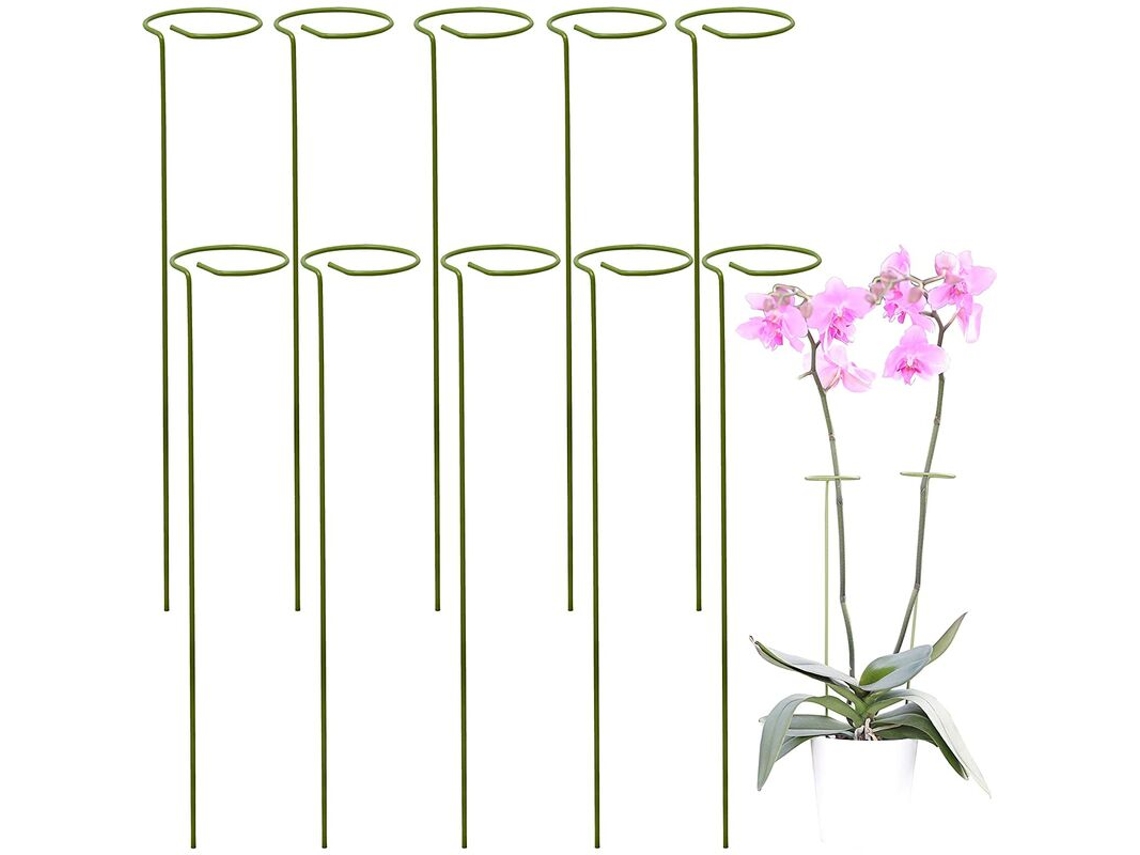 Suportes para Plantas Suportes para Trepadeiras e Flores Green Mentors Estacas para Tomateiros no Jardim Orquídeas, Amarílis, Peônias AQUAFORGE