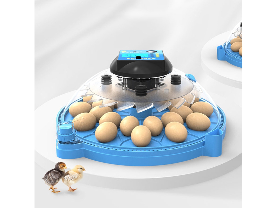 Incubadora De Ovos 24/48 Com Giramento Automático E Controle De Umidade