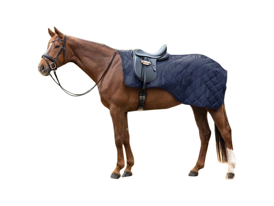 Tapete de Exercício Exclusive Azul Ponywaldhausen