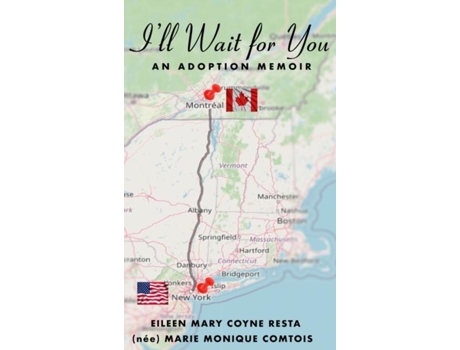 Livro Ill Wait For You De Eileen Resta (inglês)