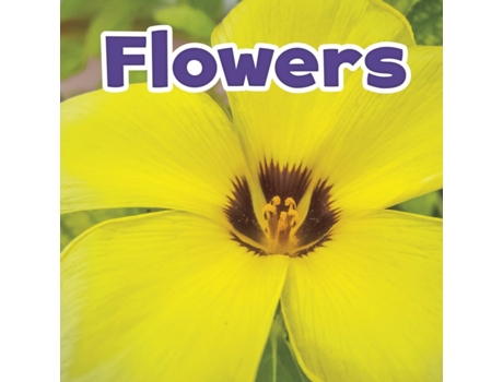 Livro flowers de marissa (product manager) kirkman (inglês)