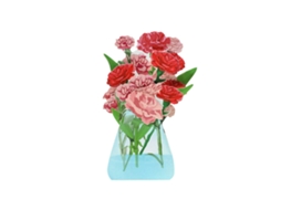 Cartão de Dia da Mãe em 3d com Ornamento de Cravo LAXISCREED