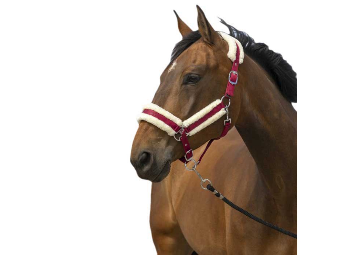 Cabeçada Mouton Nylon Castanho Ponyequitheme