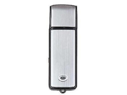 Lurelia Gravador De Voz Usb 4gb Com Usb Recarregável, Gravação Com 1 Tecla Para Conversas - Preto