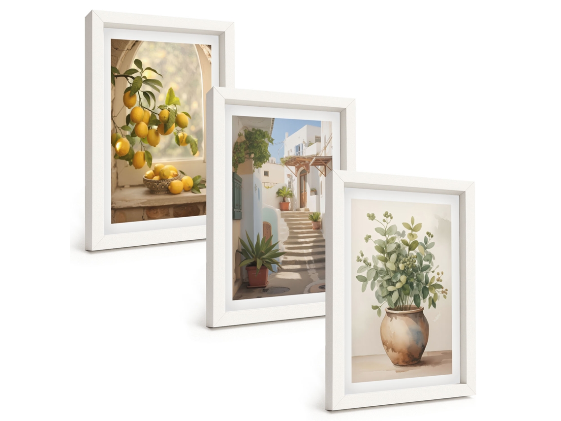 Composição De Quadros Limões Em Um Vaso, Plantas Espelharte (3 Peças 20x30 Cm)