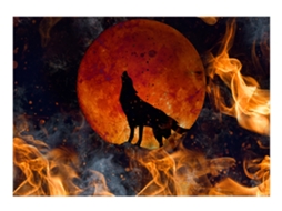 Papel de Parede ARTGEIST Wolf on Fire (300x210)