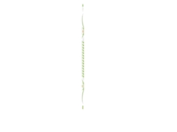 Stick de Hoquei WARRIOR Alpha
