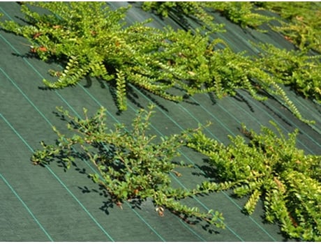 Tecido de Controlo de Ervas Nocivas – 4.20M X 100M Verde – 130 Gr/M² MAILLE STORE