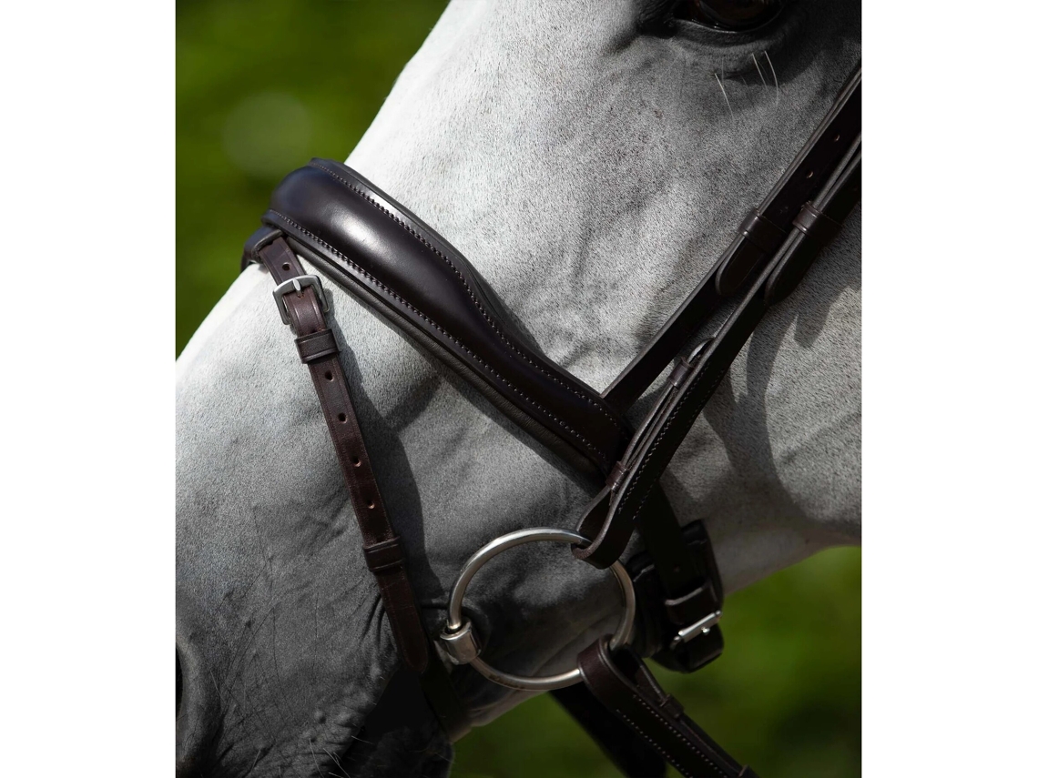 Cabresto anatómico com cabresto de equitação combinado em inglês Premier Equine Rizzo