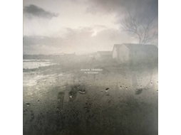 Vinil LP Joshua Trinidad - In November