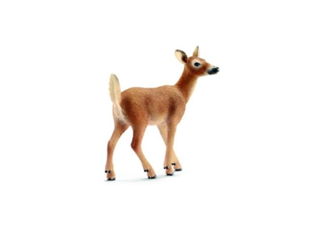 Figura  Veado de Cauda Branca Fêmea