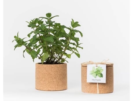 Vaso  Grow Cork Pot Hortelã