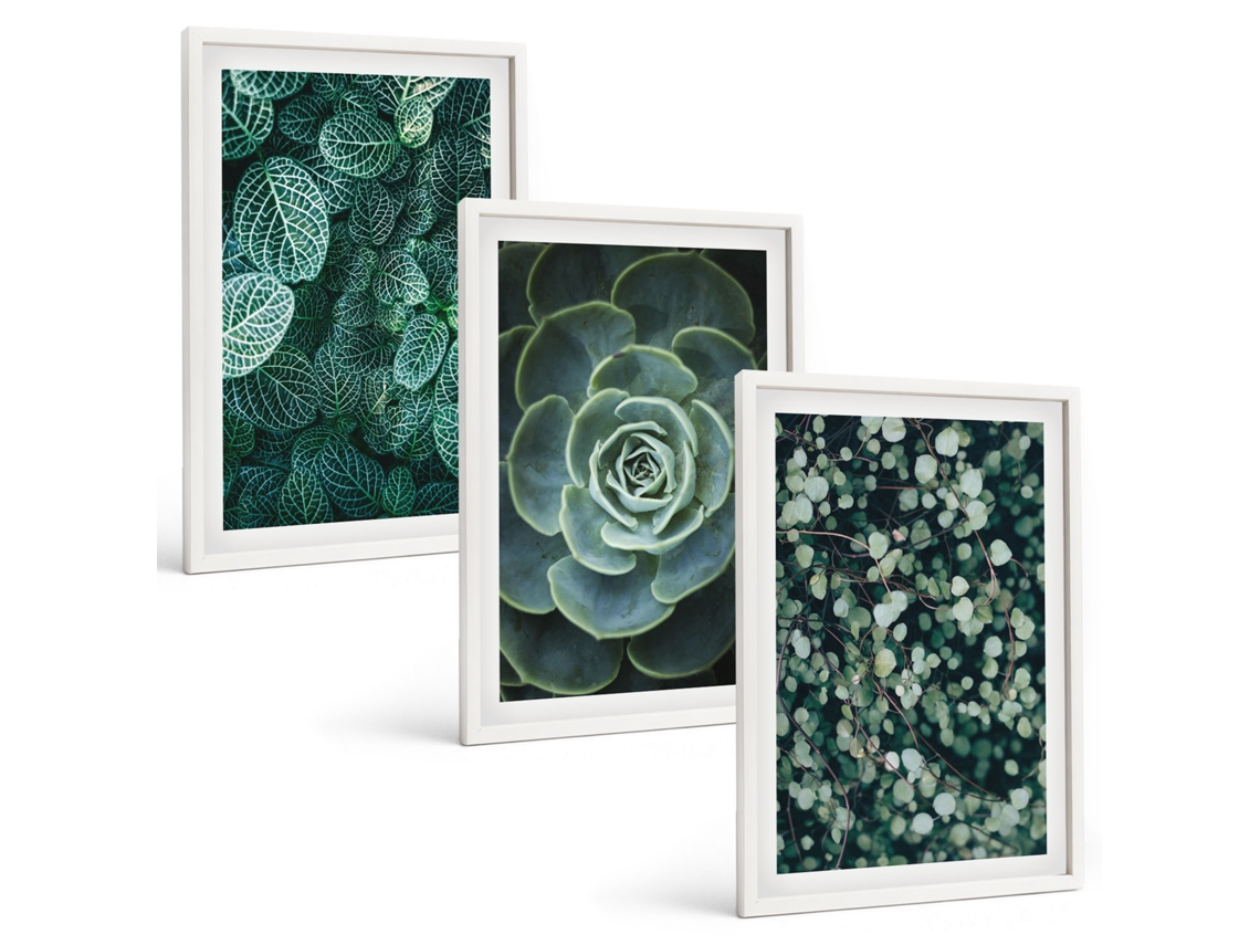 Conjunto De Pinturas Suculentas Moldura Branca Quadros Para O Escritório Espelharte (3 Piezas De 40x60 Cm)