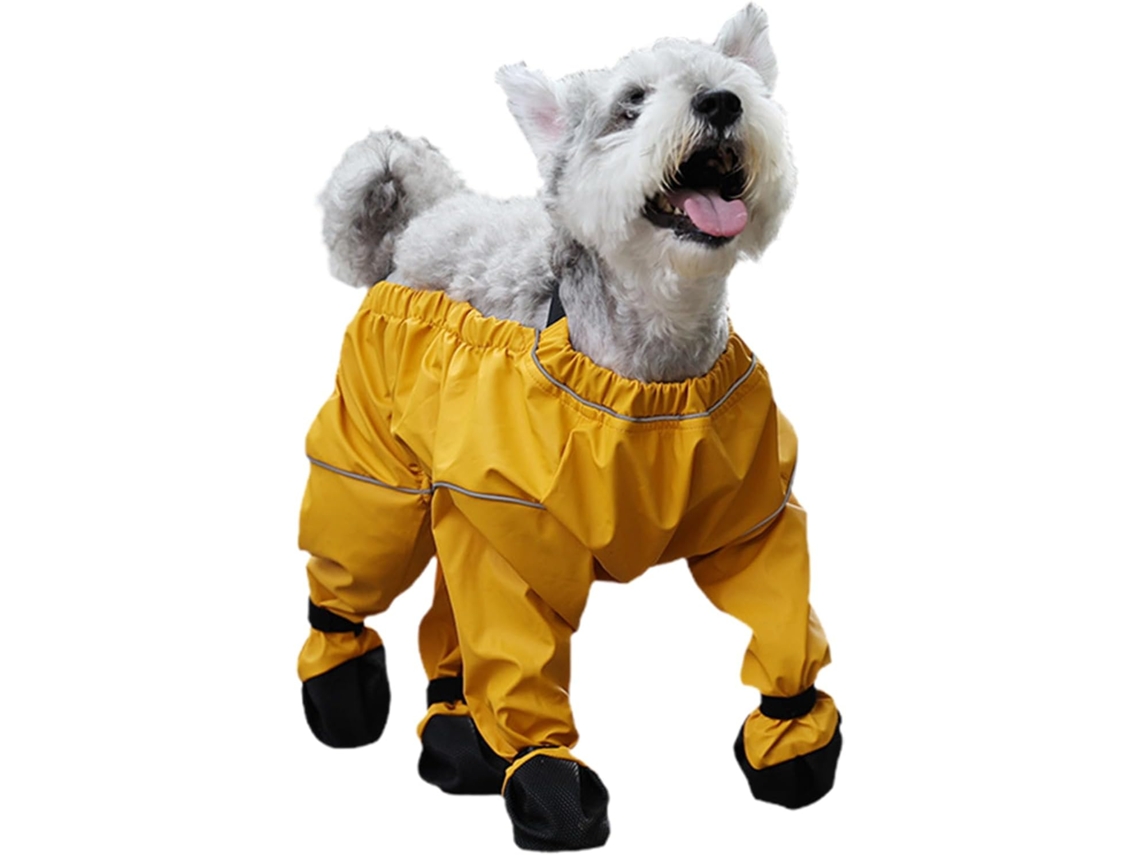 Calças, Botas, Sapatos E Produtos De Higiene Cães