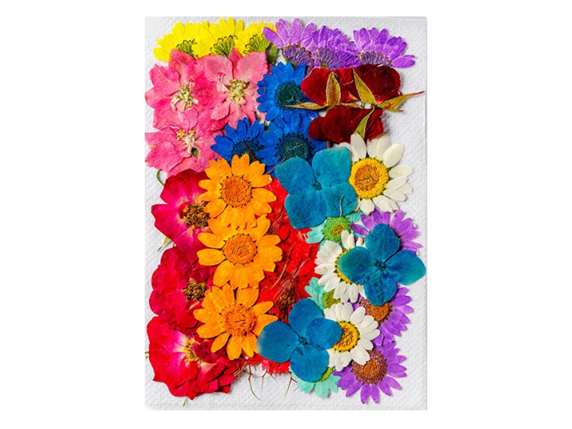Baok-36 Peças De Flores Secas De Cores Variadas Material Natural Cabeças De Flores Secas Para Decoração Diy