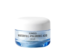 Waterfull Hyaluronic Acid Cream JUMISO