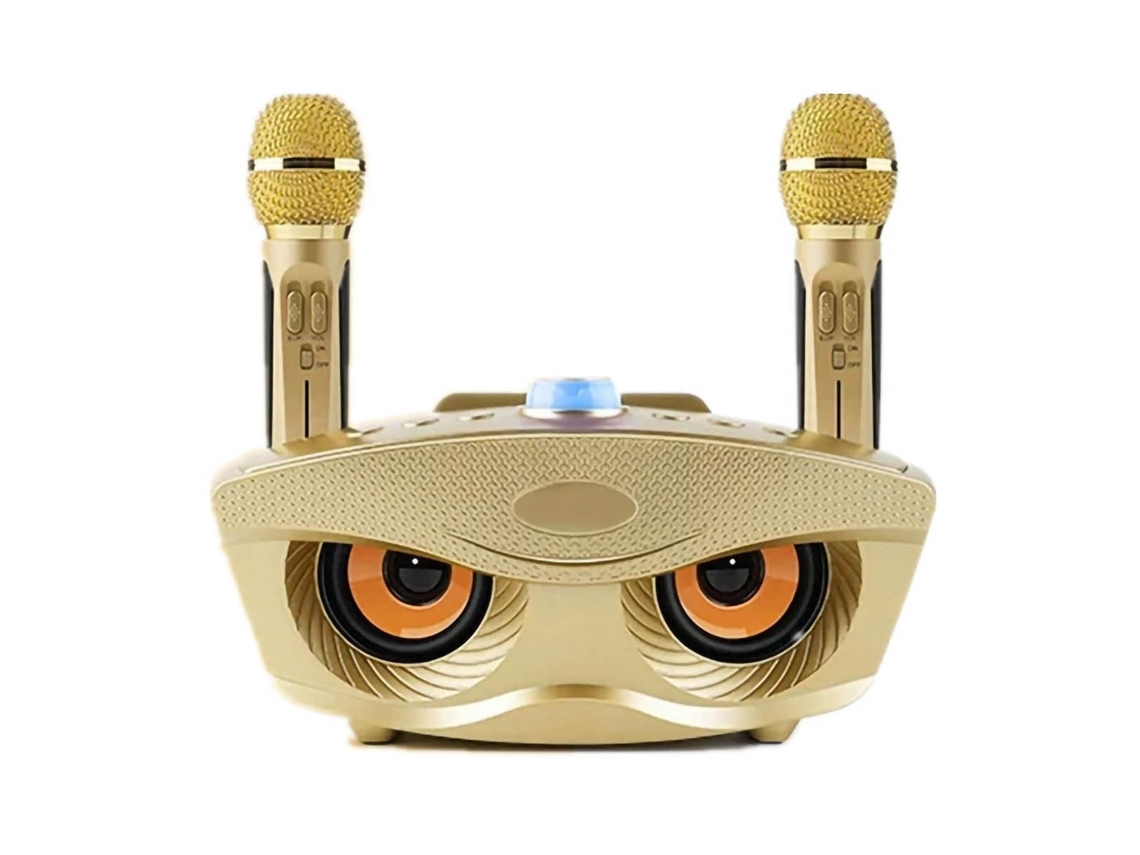 Sistema de Som Home Ktv EOOCOO com microfones duplos e Bluetooth portátil
