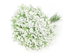 Buquê de Flores Artificiais Brancas Feitas À Mão, com 15 Peças, Toque Realista, Proteção Uv, para Casa e Casamento AQUAFORGE