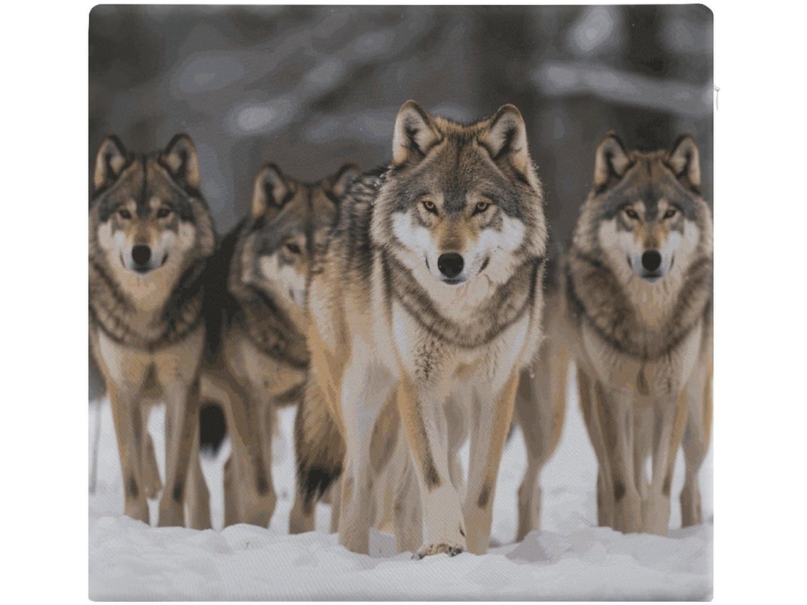 Conjunto De Almofadas Quadradas Wolf Para Adultos, Almofadas De Chão Em Espuma Viscoelástica Com Capa Removível E