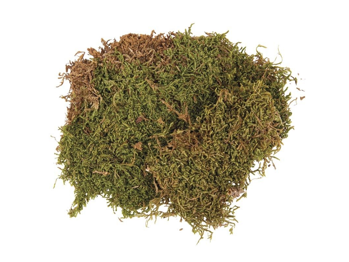 Musgo seco em folha 100 g Rayher