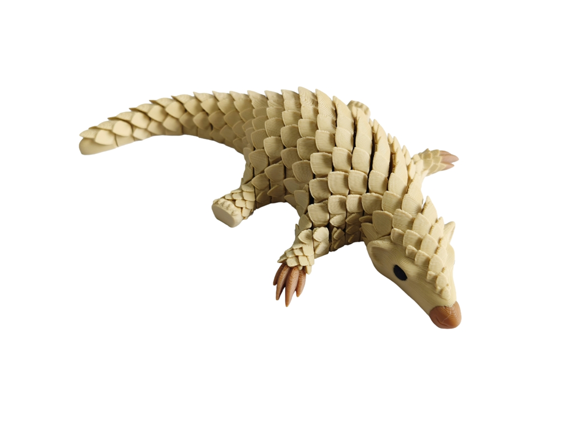 Laxiscreed Peixe 3d, Modelo Colorido E Ajustável Para Decoração E Brinquedo De Coleção