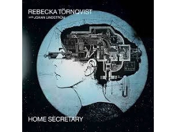 Vinil Rebecka Törnqvist - Home Schooled - The ABCs Of Kid Soul (1CDs)