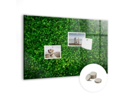 Quadro De Vidro Magnético Folhas De Sebe Para O Escritório Espelharte (60x40 Cm)