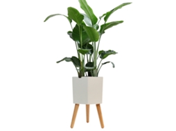 Vaso Inteligente Plantas Alarme Falta de Água