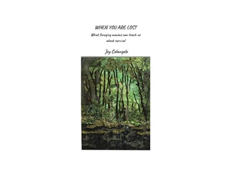 Livro When You Are Lost What foraging maxims can teach us about survival de Joy Colangelo (Inglês)
