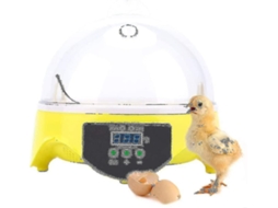 Incubadora Automática Digital para 7 Ovos com Viragem Automática da Sugoumei